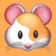 黄金网9.1APPAPP应用